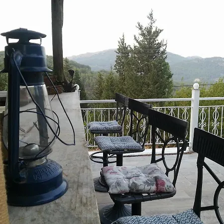 Villas 빌라 *